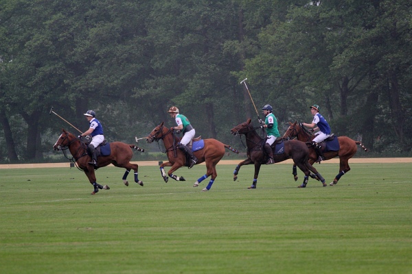 Polo_Art   036.jpg